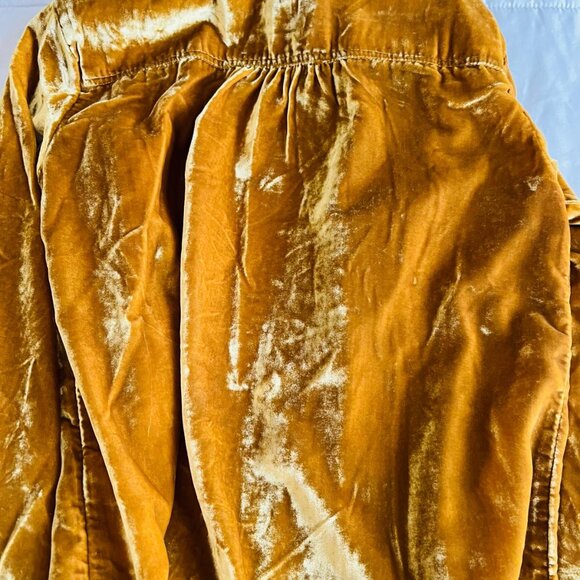 Velvet Buttondown Shirt - Picture 3 of 5